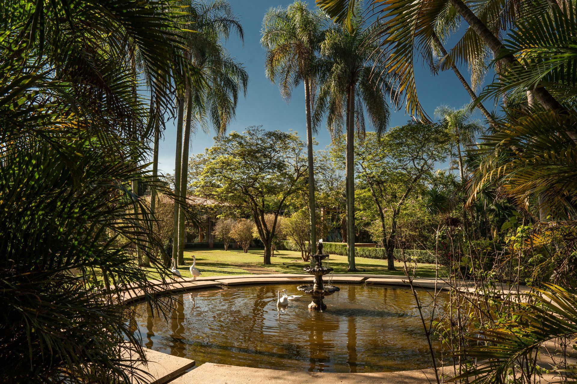 Local para casamento no interior de São Paulo com natureza exuberante e ambiente elegante