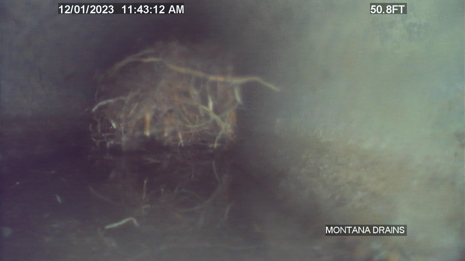 A camera is taking a picture of a tree stump in the water.