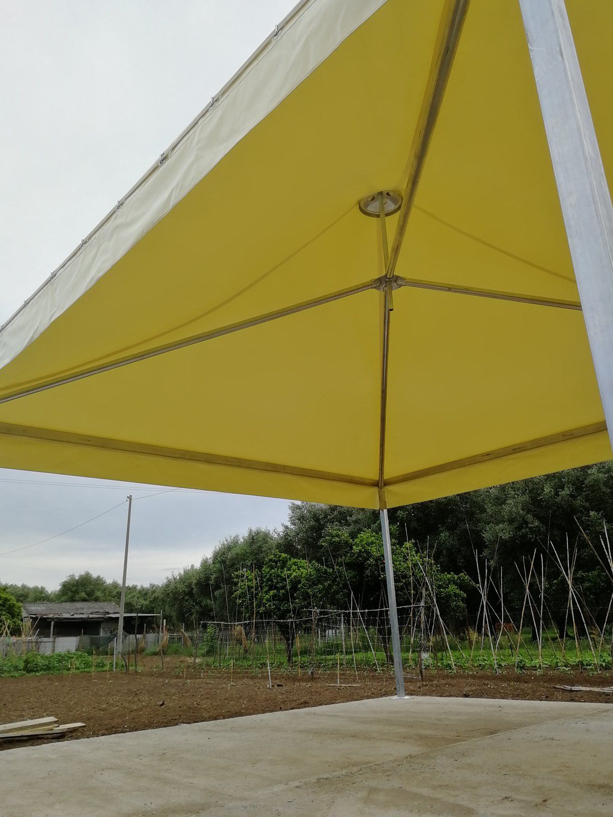 gazebo