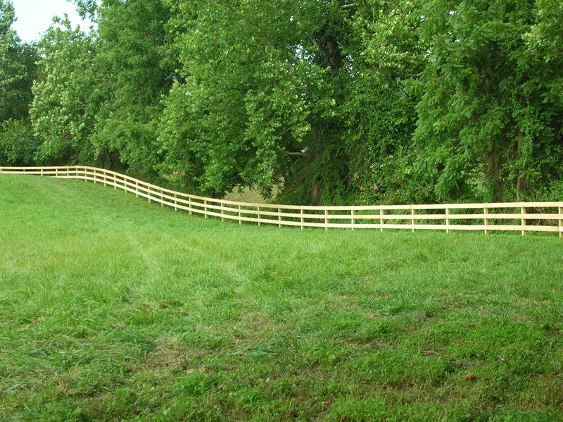 Grassy field with a curved wooden fence and dense green trees in the background