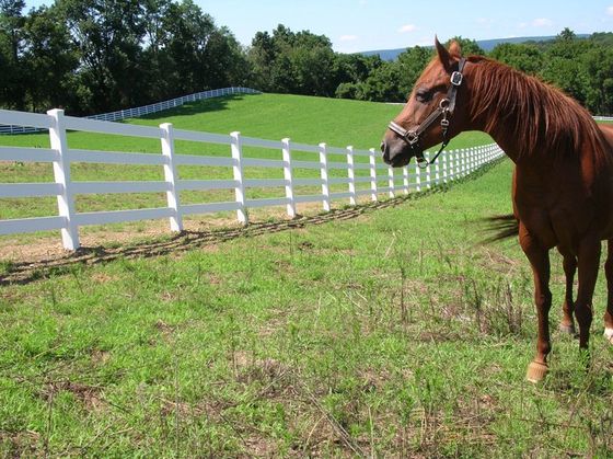 About J-Mar Fencing, LLc. About J-Mar Fencing, LLC.
