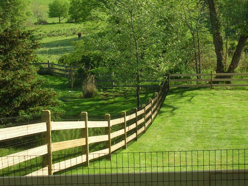 Sunny green pasture with a wooden fence and trees in the background