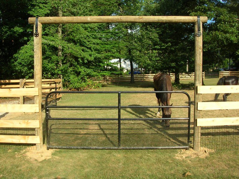 Horse standing behind a metal gate in a fenced pasture with wooden posts and trees beyond