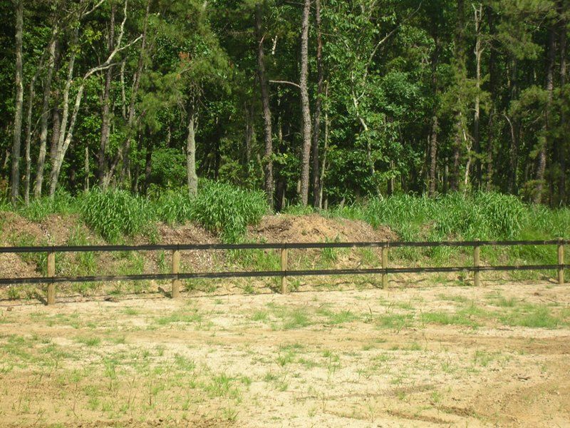 Wooded area with a low wooden fence and sandy clearing in the foreground
