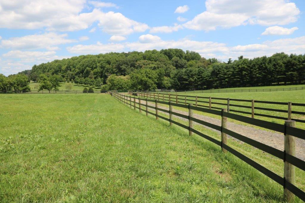 Grassy pasture with a wooden fence leading to trees under a blue, partly cloudy sky