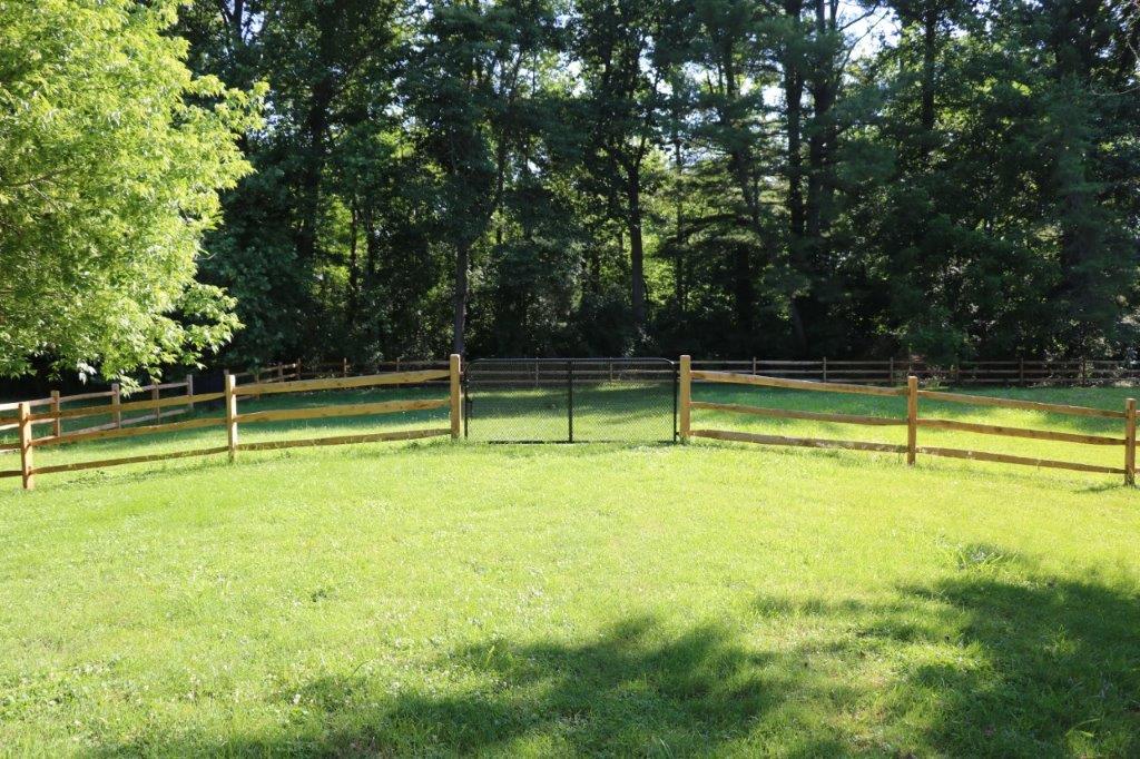 Sunlit grassy field bordered by a wooden fence, with trees in the background.