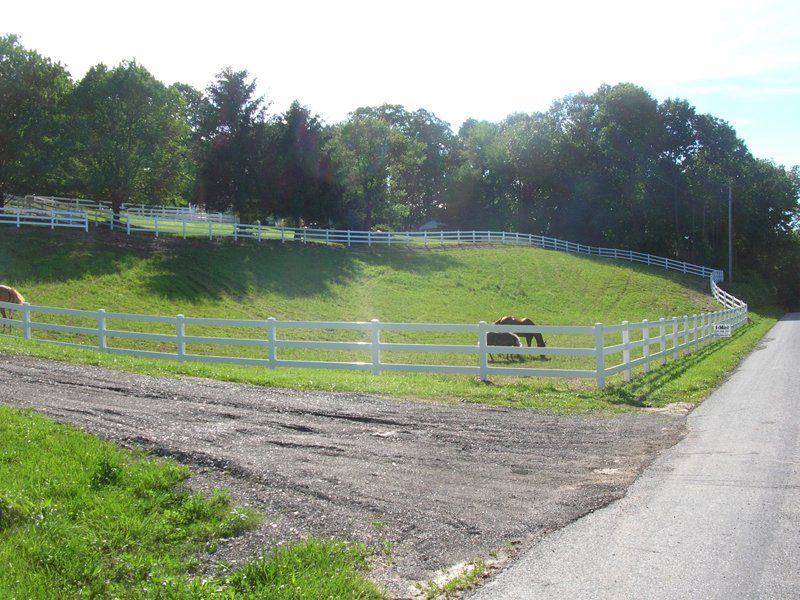 White-fenced grassy paddock beside a paved road, with two horses grazing under trees