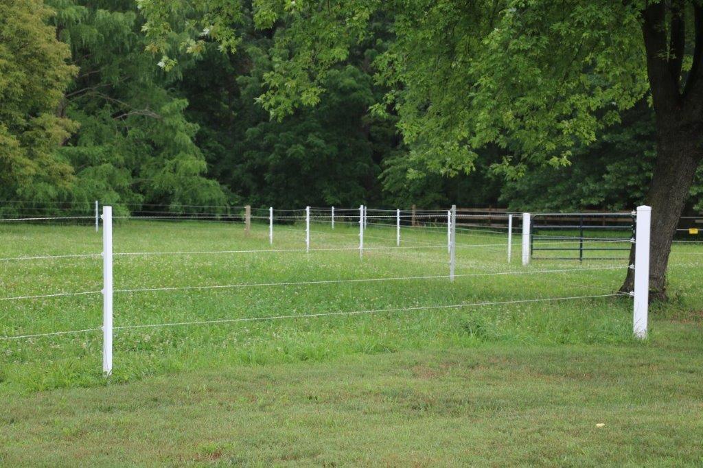 Grassy field with white fence posts and trees in the background
