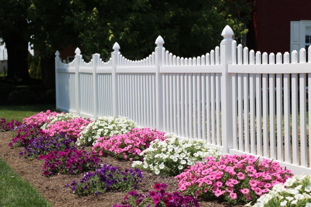 White picket fence beside pink and white flowers along a garden path