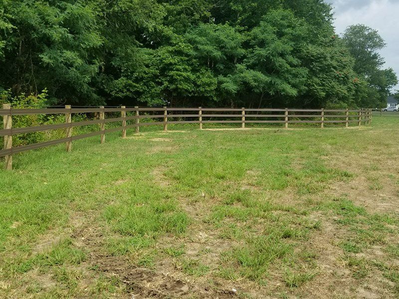 Grassy field beside a wooden fence, with dense green trees in the background.