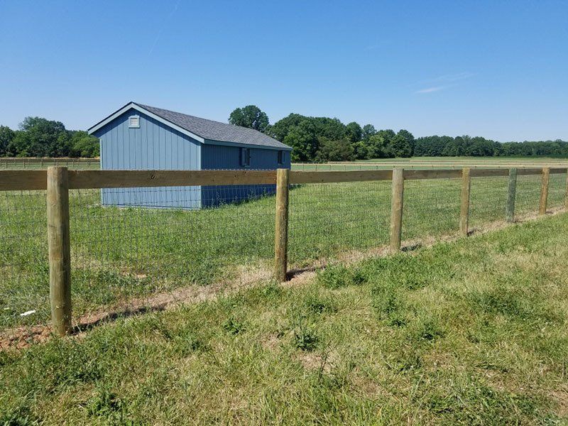 Blue shed behind a wooden fence in a grassy field under a clear blue sky