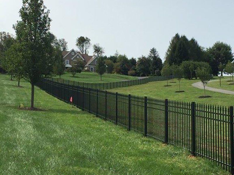 Grassy park with a black fence, trees, and houses in the distance under a bright sky