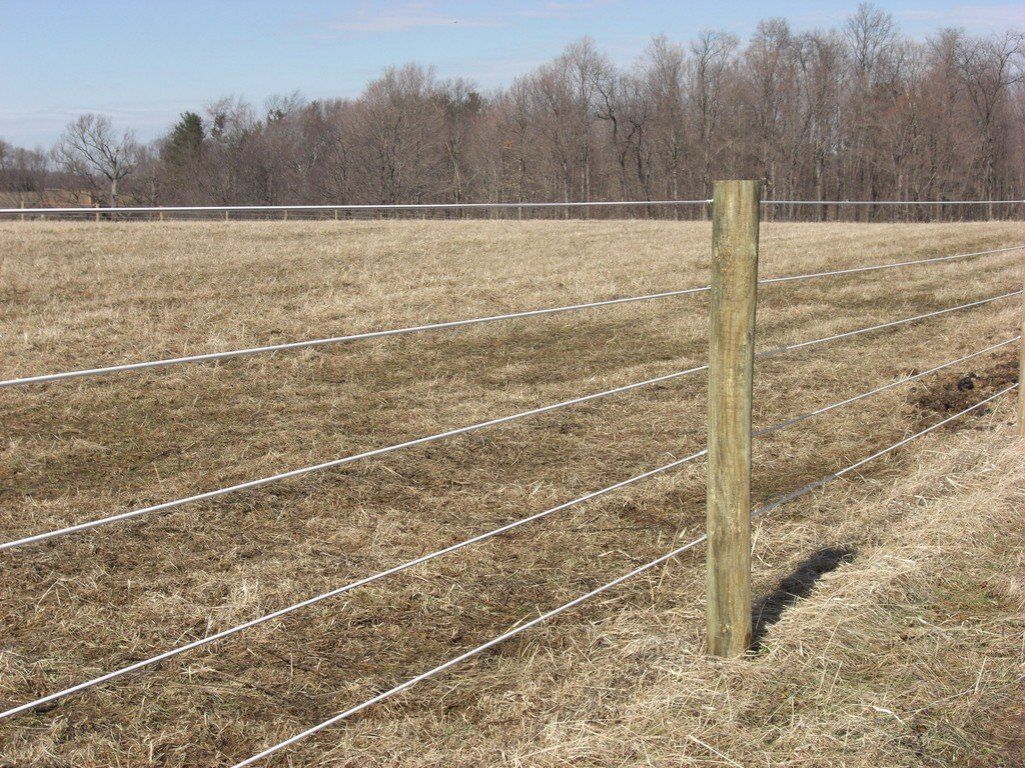 Wooden fence post with white wire fencing in a dry, open field under a clear sky