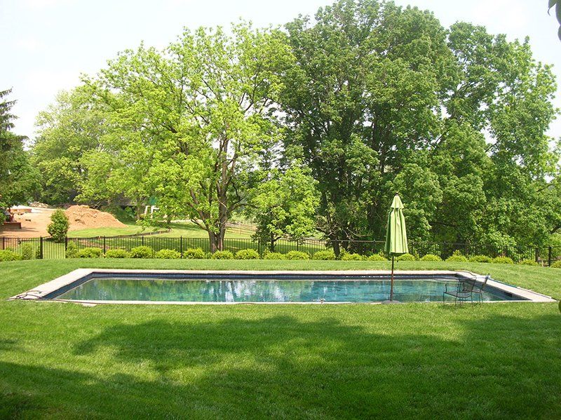 Backyard with a rectangular pool, green lawn, and leafy trees in bright daylight