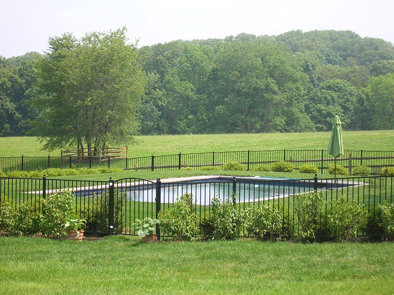 Fenced outdoor pool surrounded by green lawn and trees on a sunny day