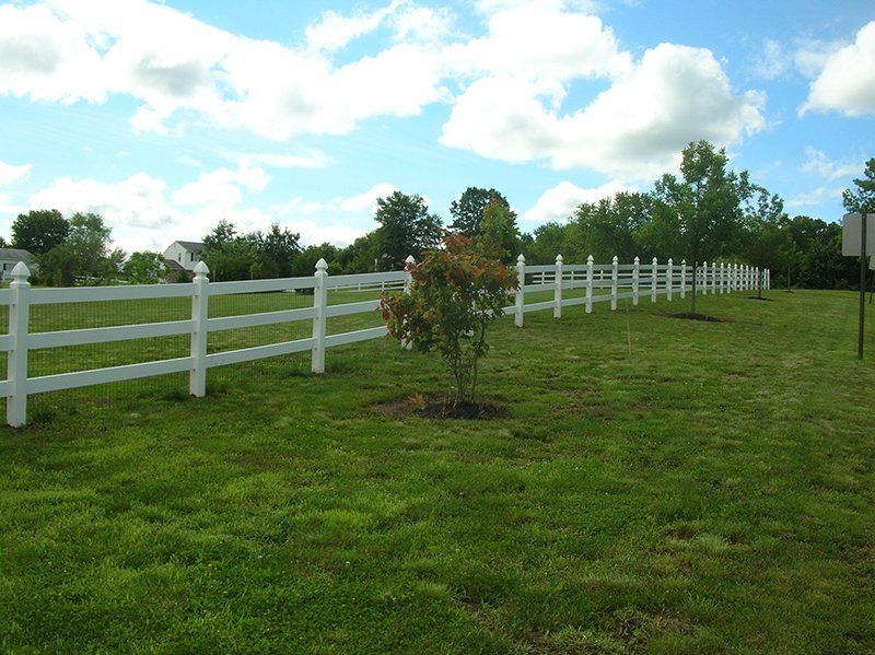 White fence along a green grassy field with a small tree under a partly cloudy blue sky