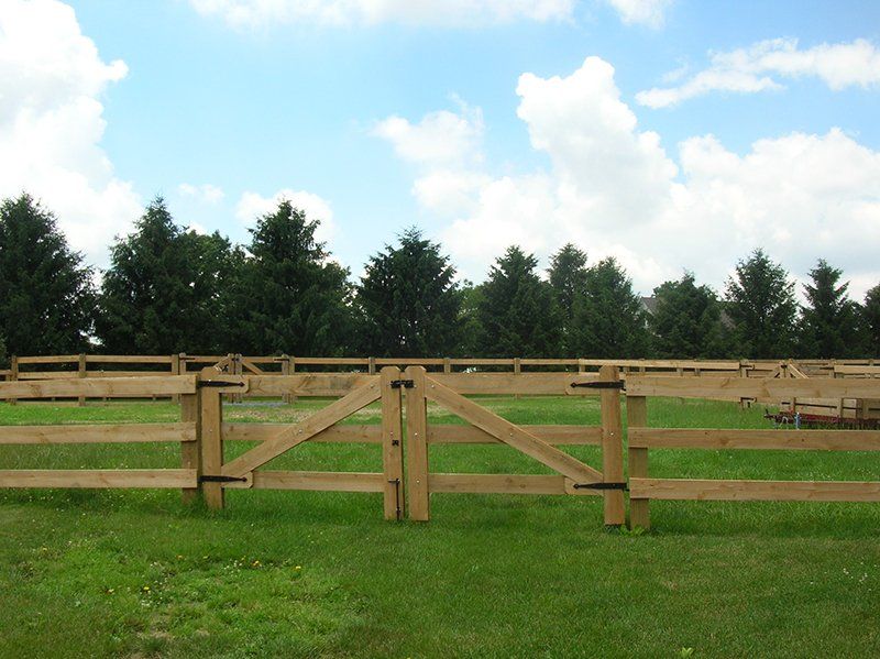 Wooden fence and gate in a grassy field with trees and a blue sky