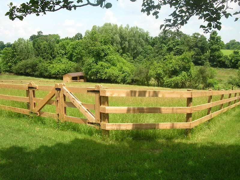 Wooden fence and gate in a sunny green field with trees in the background