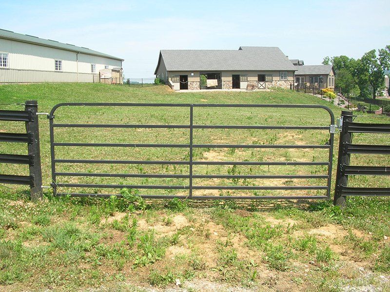 Black metal farm gate in front of a grassy yard with barns and a house in the background