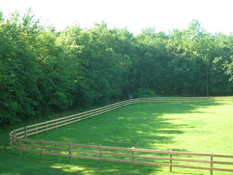 Grassy field bordered by wooden fences and dense green trees on a sunny day