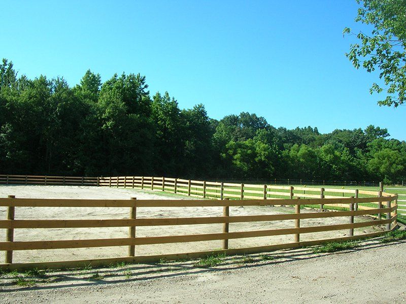 Sunny fenced pasture with green trees and a gravel road under a clear blue sky