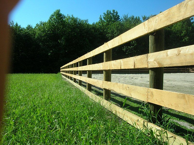 Wooden fence running through a green grassy field under a bright blue sky