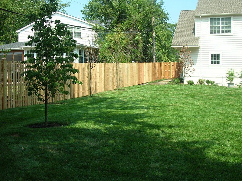 Green backyard with a wooden fence and two white houses in the background