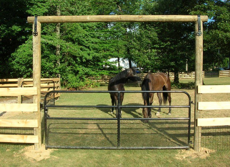 Two horses standing in a fenced paddock under a wooden archway