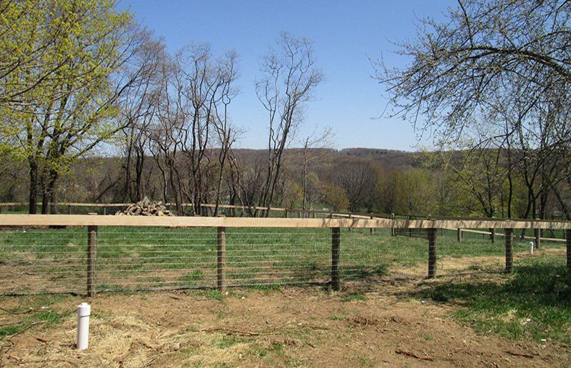 Rural fenced field with bare trees and a distant wooded hill under a clear blue sky.