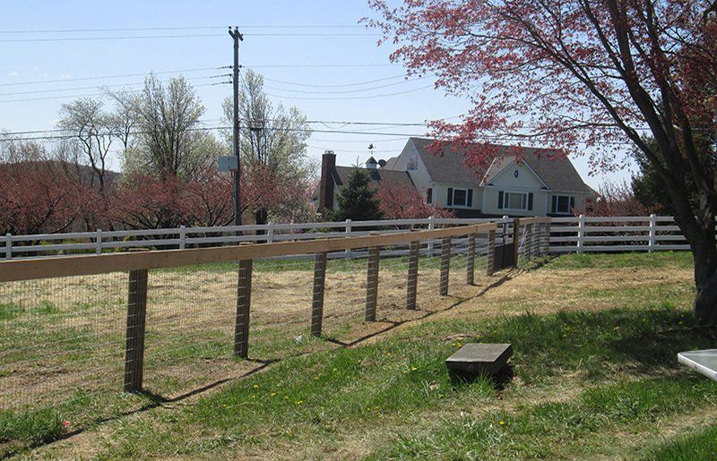 Wooden fence posts in a grassy yard with a road and houses in the background under trees