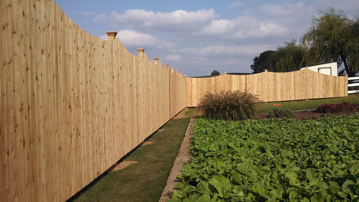 Wooden fence beside a green garden bed under a partly cloudy sky
