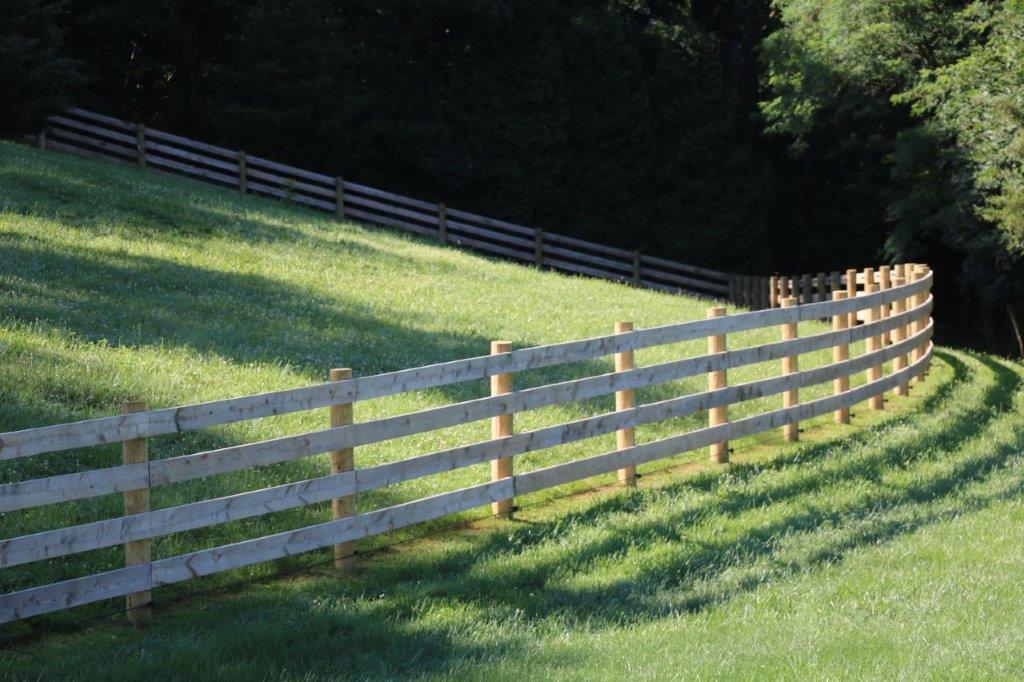 Curving wooden fence along a sunlit grassy hillside beside a dark wooded area