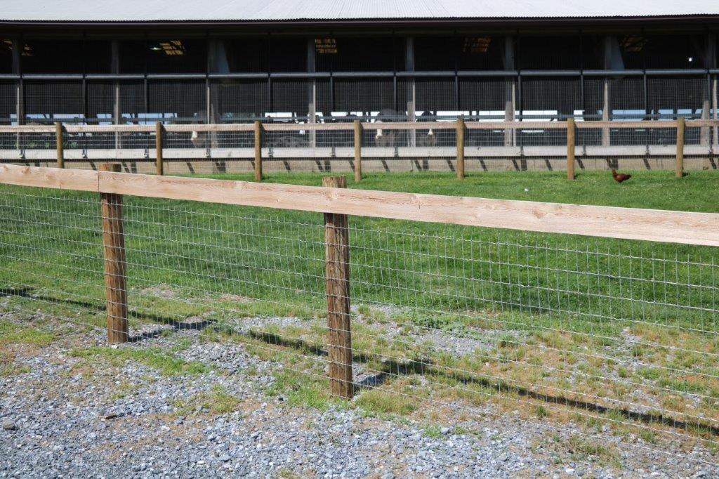 Wooden fence in a grassy paddock with a barn in the background