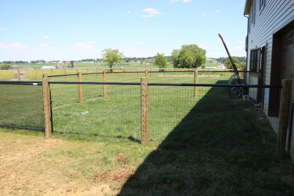 Backyard fence and grassy field beside a house, with a tree in the distance.