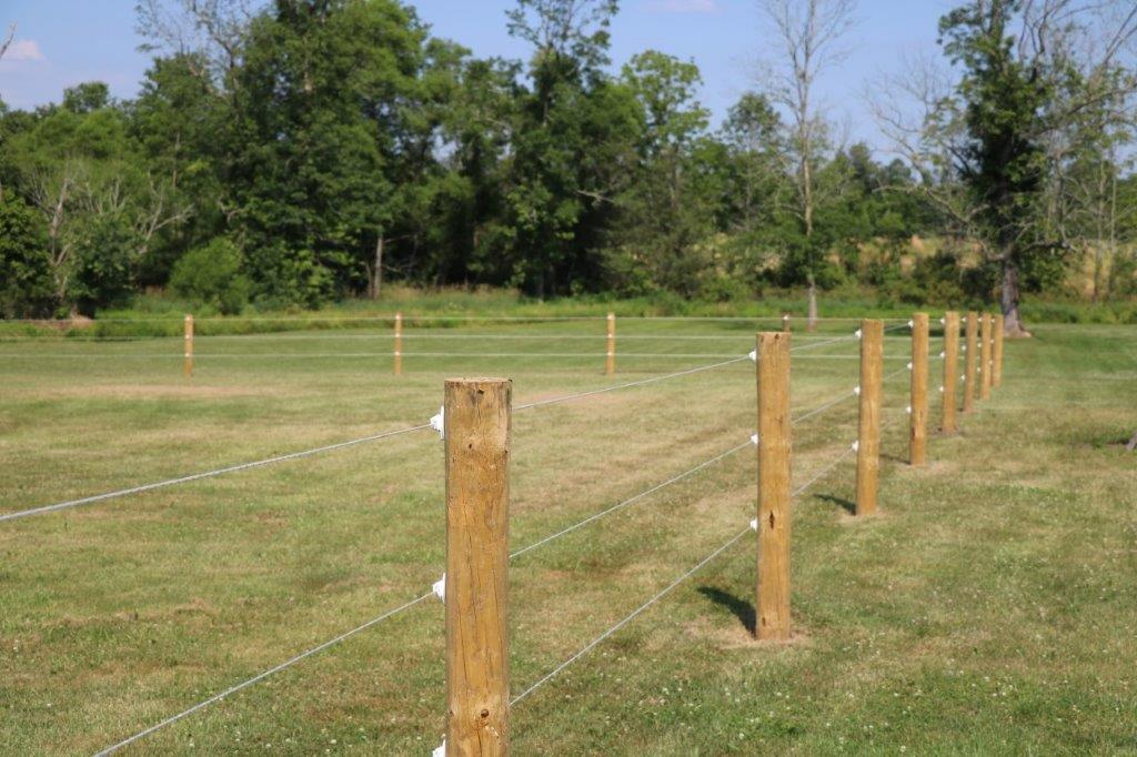Wooden fence posts with wire fencing across a grassy field, with trees in the background