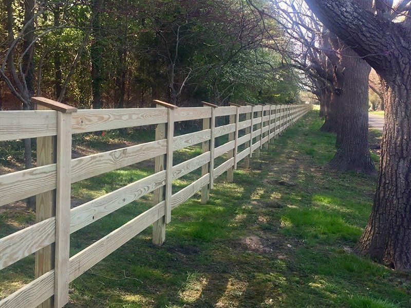 White wooden fence beside a grassy path under trees in a sunlit wooded area