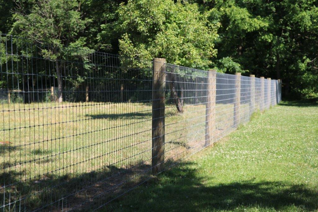 A wire fence with wooden posts runs along a grassy yard beside dense green trees.