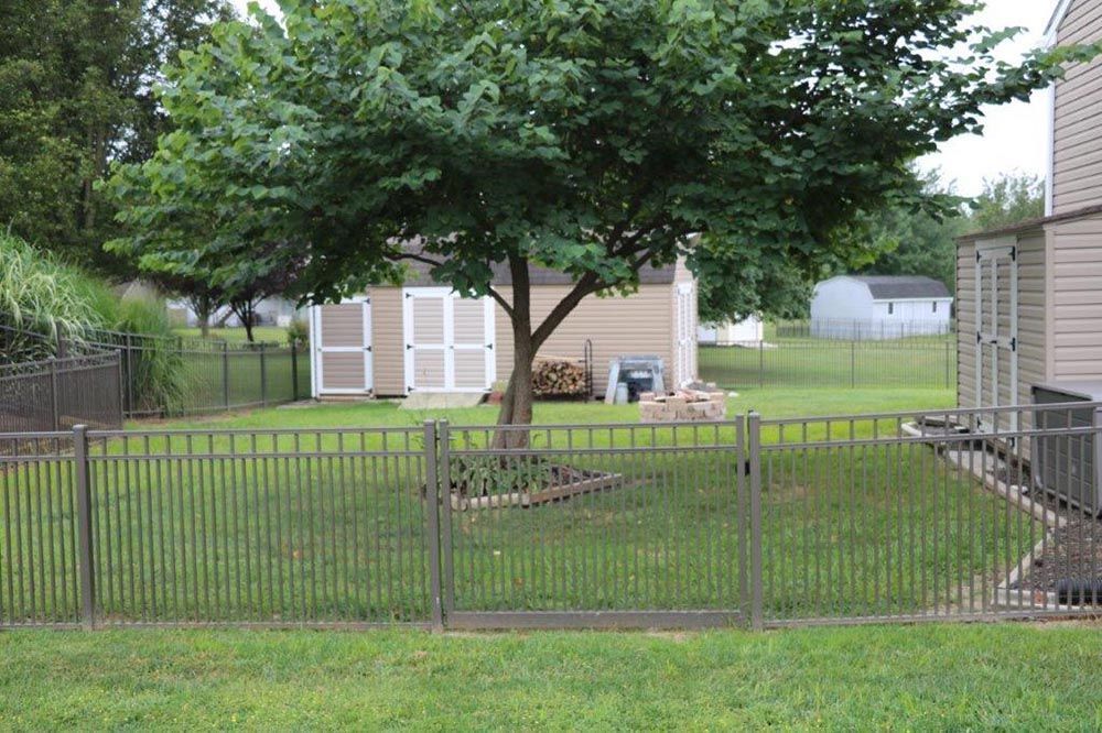 Backyard with large tree, metal fence, and a house in the background