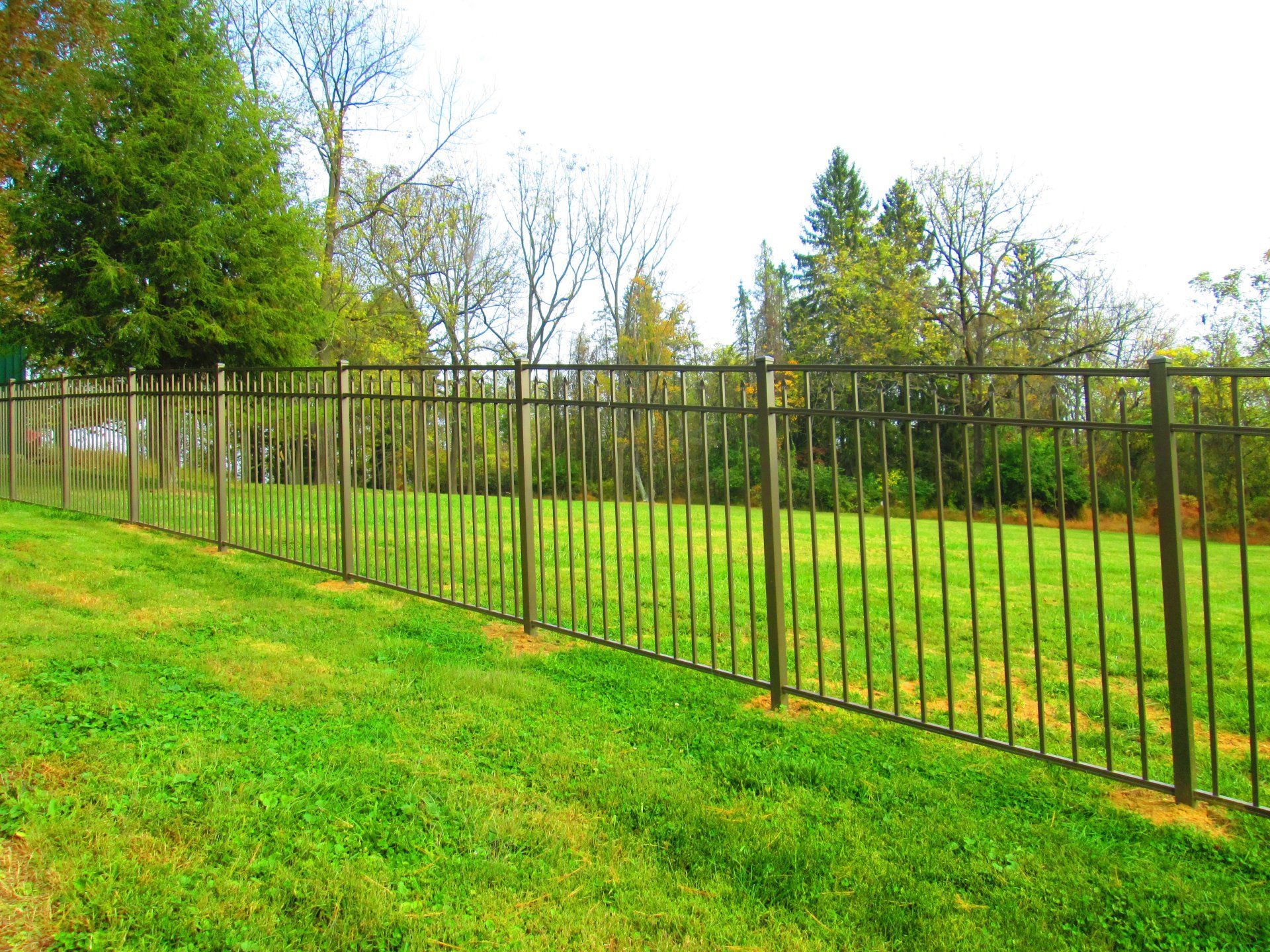 Metal fence bordering a green grassy field with trees in the background