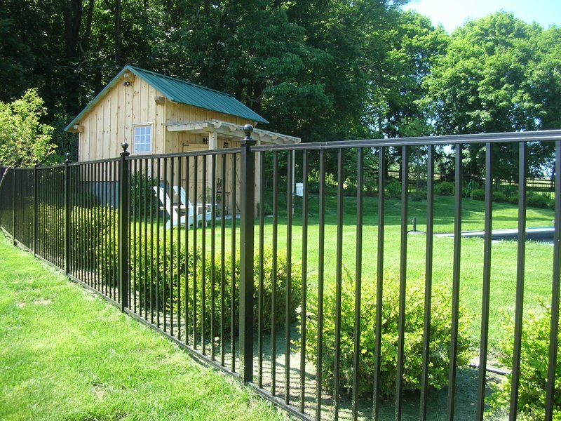 Black metal fence in front of a small wooden shed and green yard with trees.