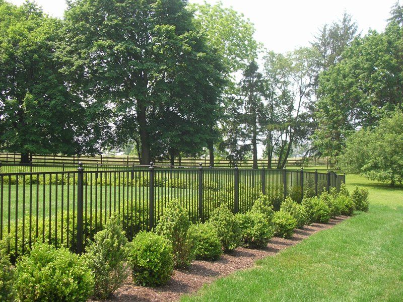 Black metal fence along a lush green garden with shrubs and trees in a sunny park.