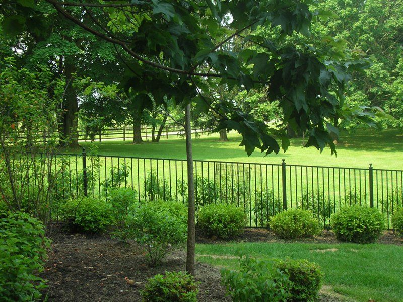 Green park with trees, grass, and a black fence along a sunlit path