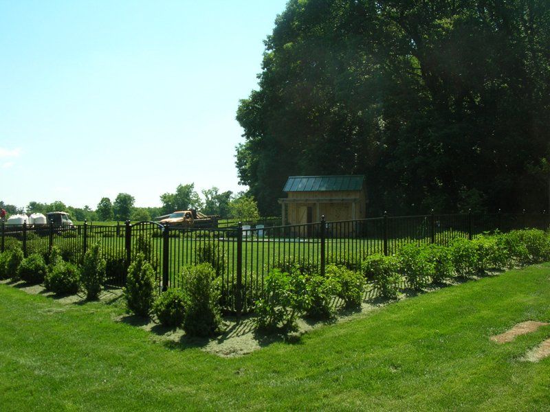 Black iron fence around a green lawn and shrubs, with a small shed near a large tree under a bright sky