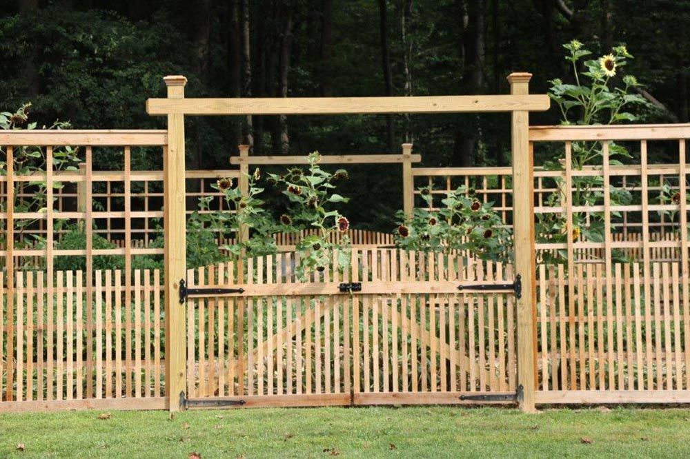 Wooden garden fence and gate with lattice panels in front of dense greenery.