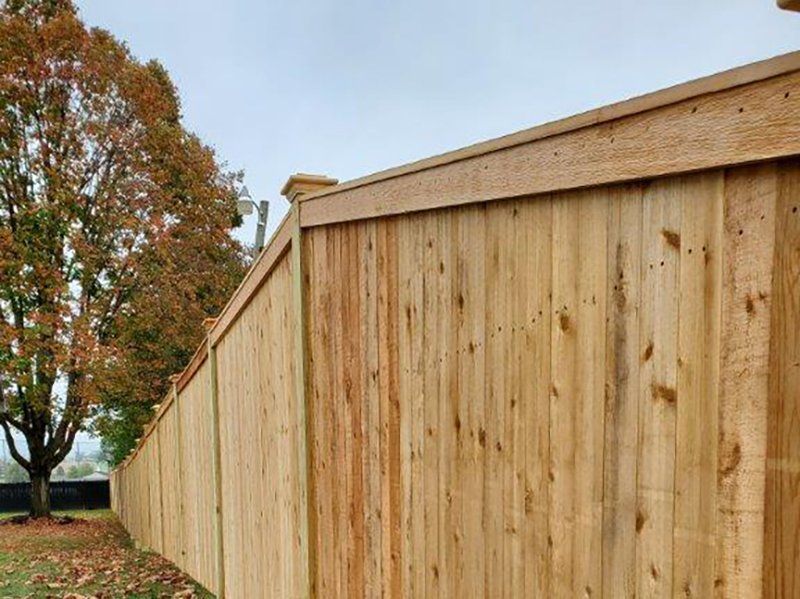 Wooden fence beside autumn trees under a clear sky