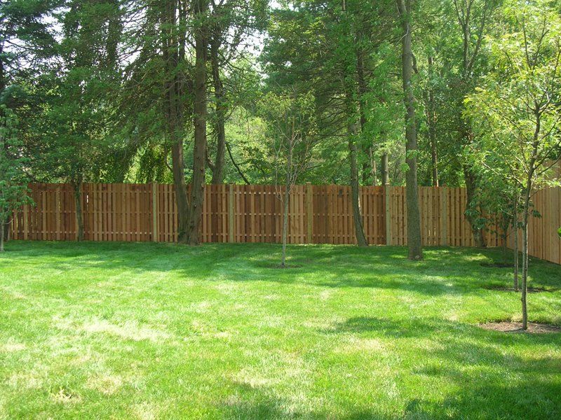 Grassy backyard with a wooden fence and trees in bright sunlight