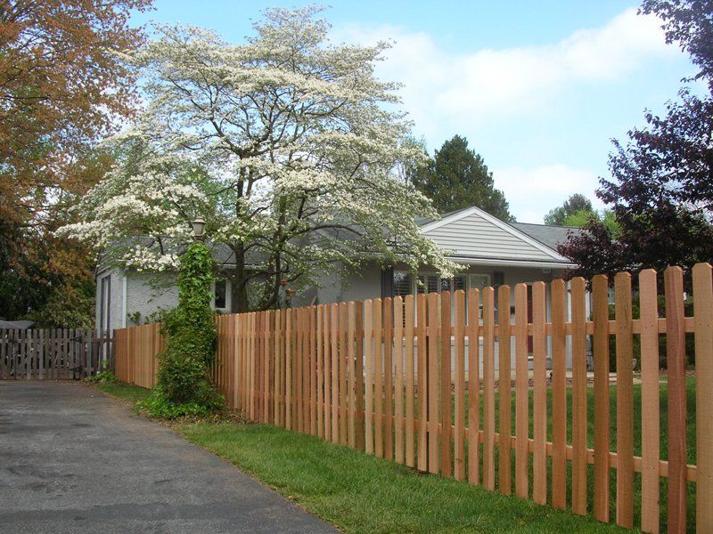 Wooden fence along a driveway beside a house and flowering trees under a blue sky