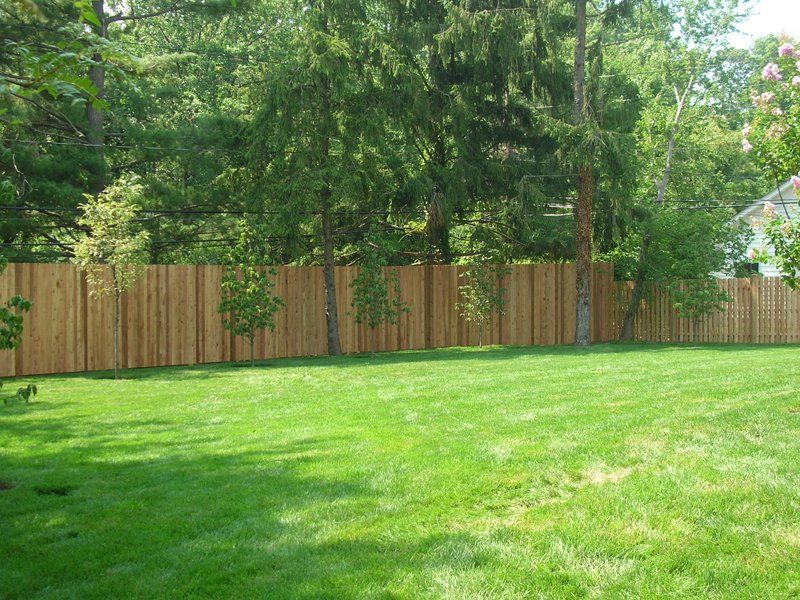 Green lawn in front of a wooden fence with leafy trees in the background