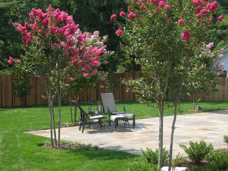 Backyard patio with a table and chairs, surrounded by flowering crepe myrtle trees and a green lawn