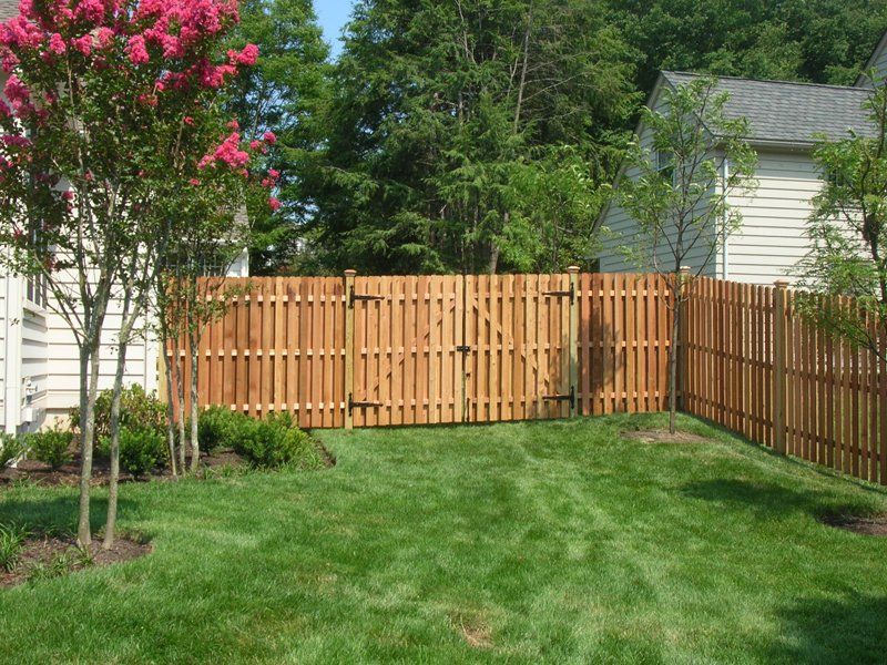 Backyard with green lawn, wooden fence, flowering tree, and house in the background